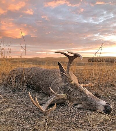 Dean Bortz: 2,347 miles, a blown tire, and one white-tailed buck – Outdoor News