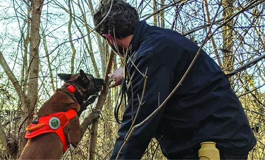 Dogs trained to sniff out invasive spotted lanternflies – Outdoor News