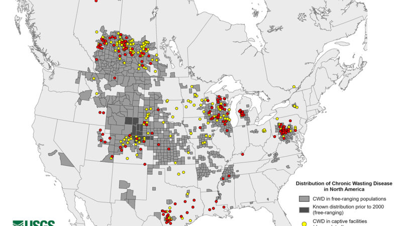 Georgia Confirms Its First Case of Chronic Wasting Disease