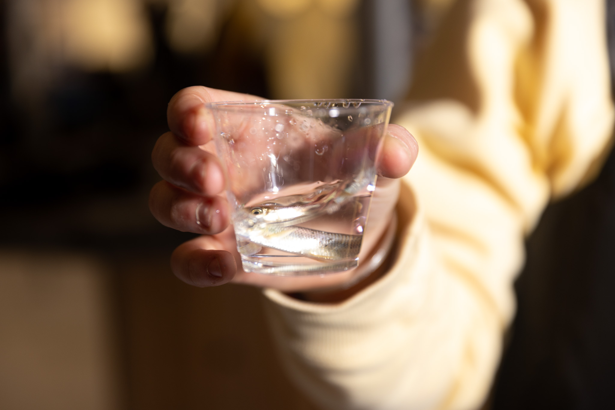 A woman with a yellow sweatshirt holds a minnow shot.