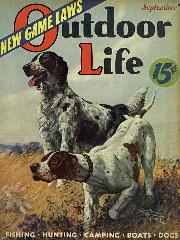 Vintage Outdoor Life art poster.