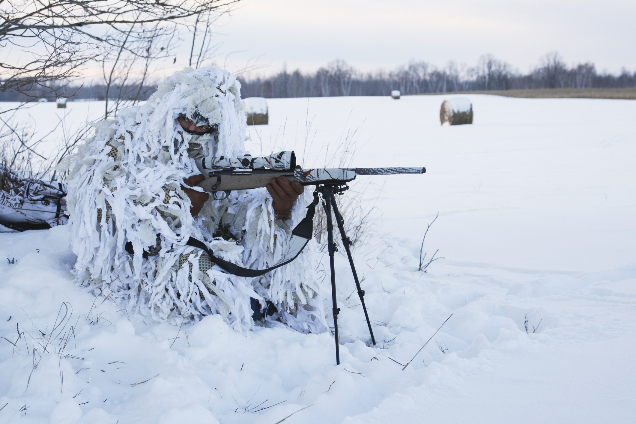 coyote hunting