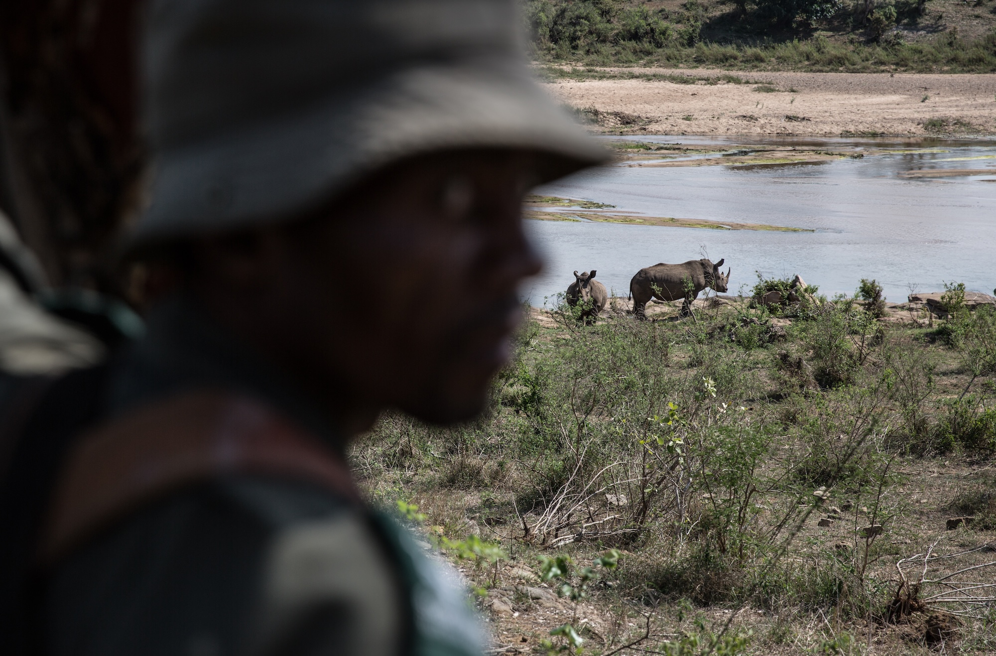 An anti-poaching ranger in Kruger Park with rhinos in background.