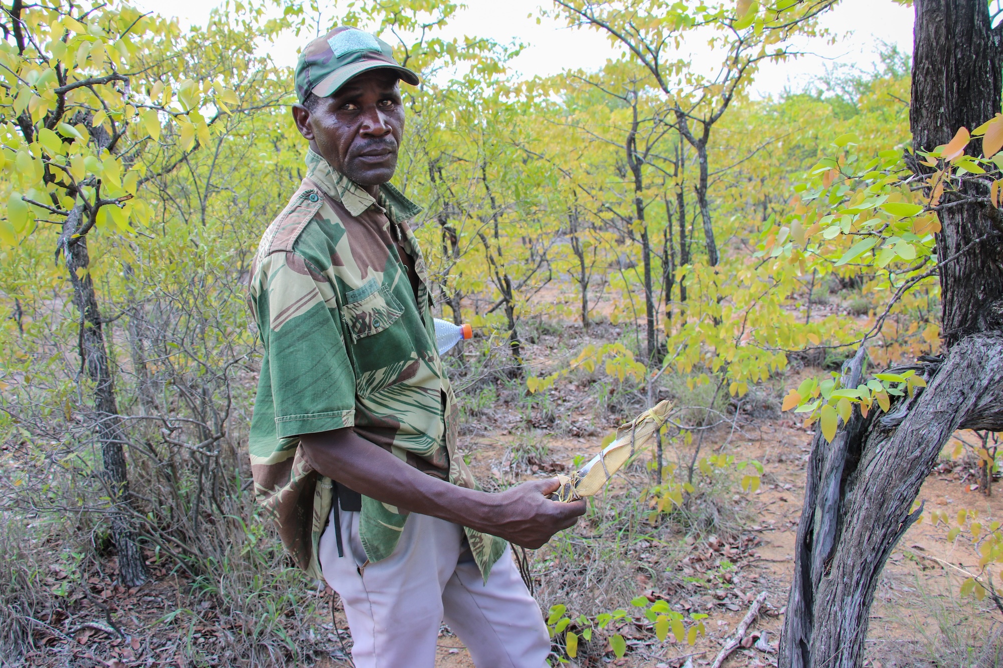 An anti-poaching ranger holds up a poacher's knife.