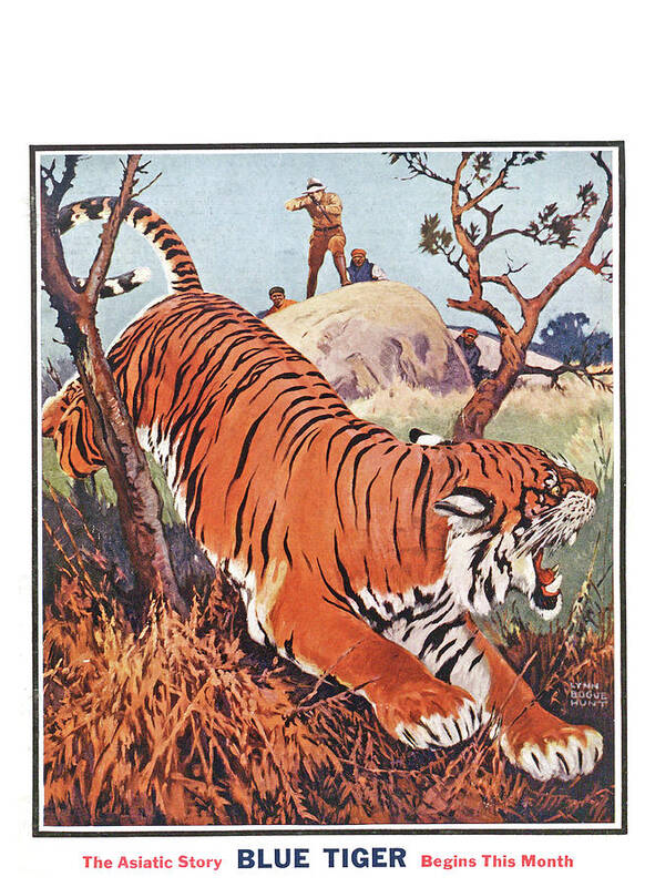 An outdoor life cover of a tiger and a hunter