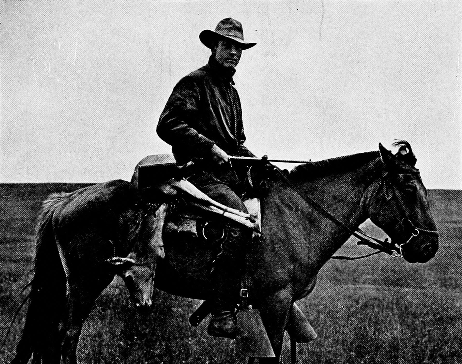 A man, Roy Chapman Andres, sits on a horse while on expedition in Mongolia