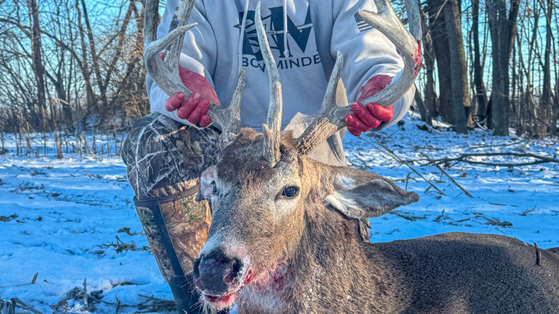 ‘I Hadn’t Shot a Deer All Year.’ Hunter Tags Unicorn Buck in the Final Days of Muzzleloader Season
