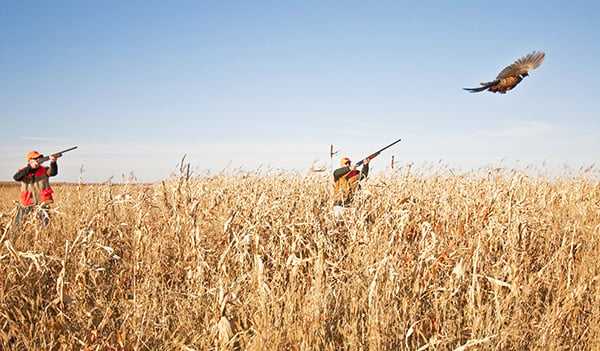 Illinois DNR sets ’25 youth rooster hunt, shooting clinic schedule – Outdoor News