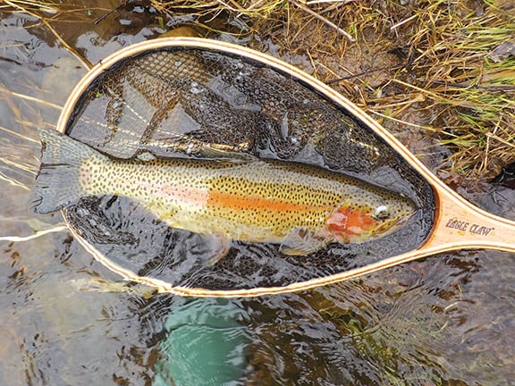 Iowa’s Ada Hayden Heritage Pond stocked with rainbow trout – Outdoor News