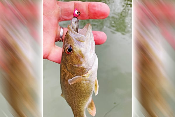 John Tertuliani: River fishing one last time before winter sets in is good for the soul – Outdoor News