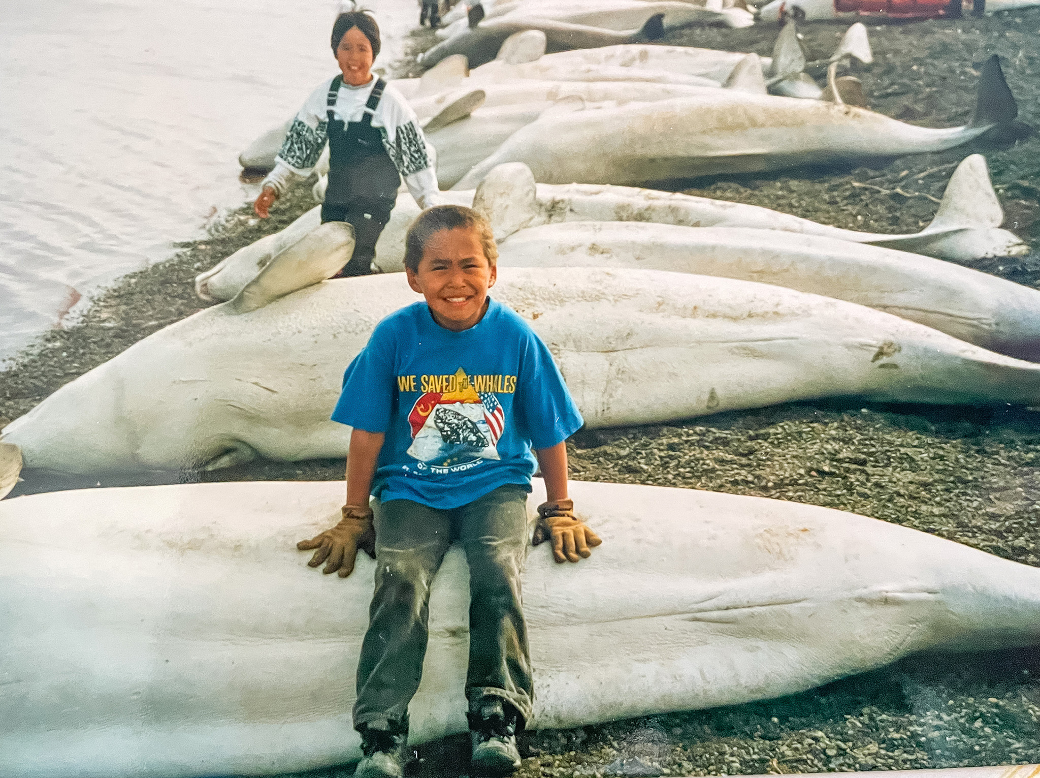 An Inupiat boy from Point Lay, a subsistence village, sits on a beluga whale.