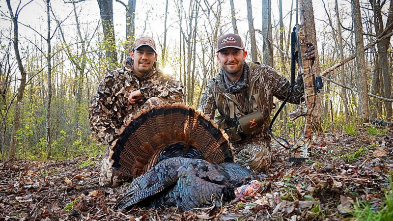 New Bill Would Let Landowners Sell Their Big-Game Tags for a Profit in Wyoming