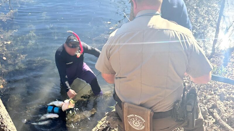 Poachers Caught with 76 Pounds of Illegally Speared Bass in Urban Texas Lake