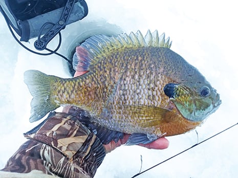 Pro Fishing Tip of the Week: An Achilles heel in forward-facing sonar? – Outdoor News