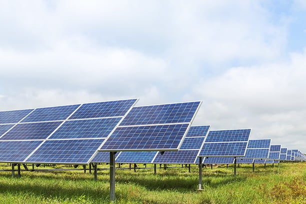 Public land solar farm plan stalled in Michigan – Outdoor News