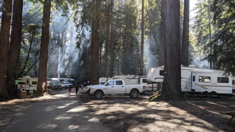 Redwoods RV Resort Camping near the California Coast