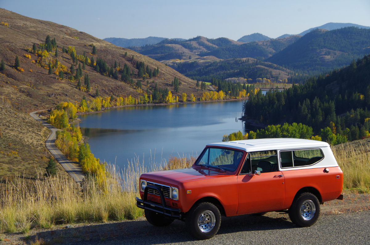 International Scout