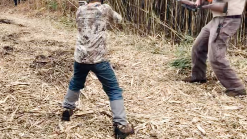 Sixth Grader Tags Nearly 600-Pound Black Bear While Hunting with His Grandpa