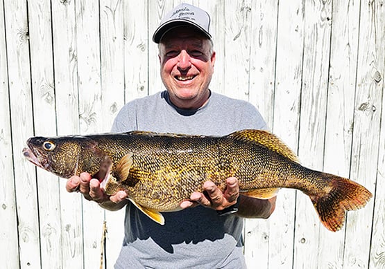 State record saugeye earns ‘fish of the year’ from Illinois – Outdoor News