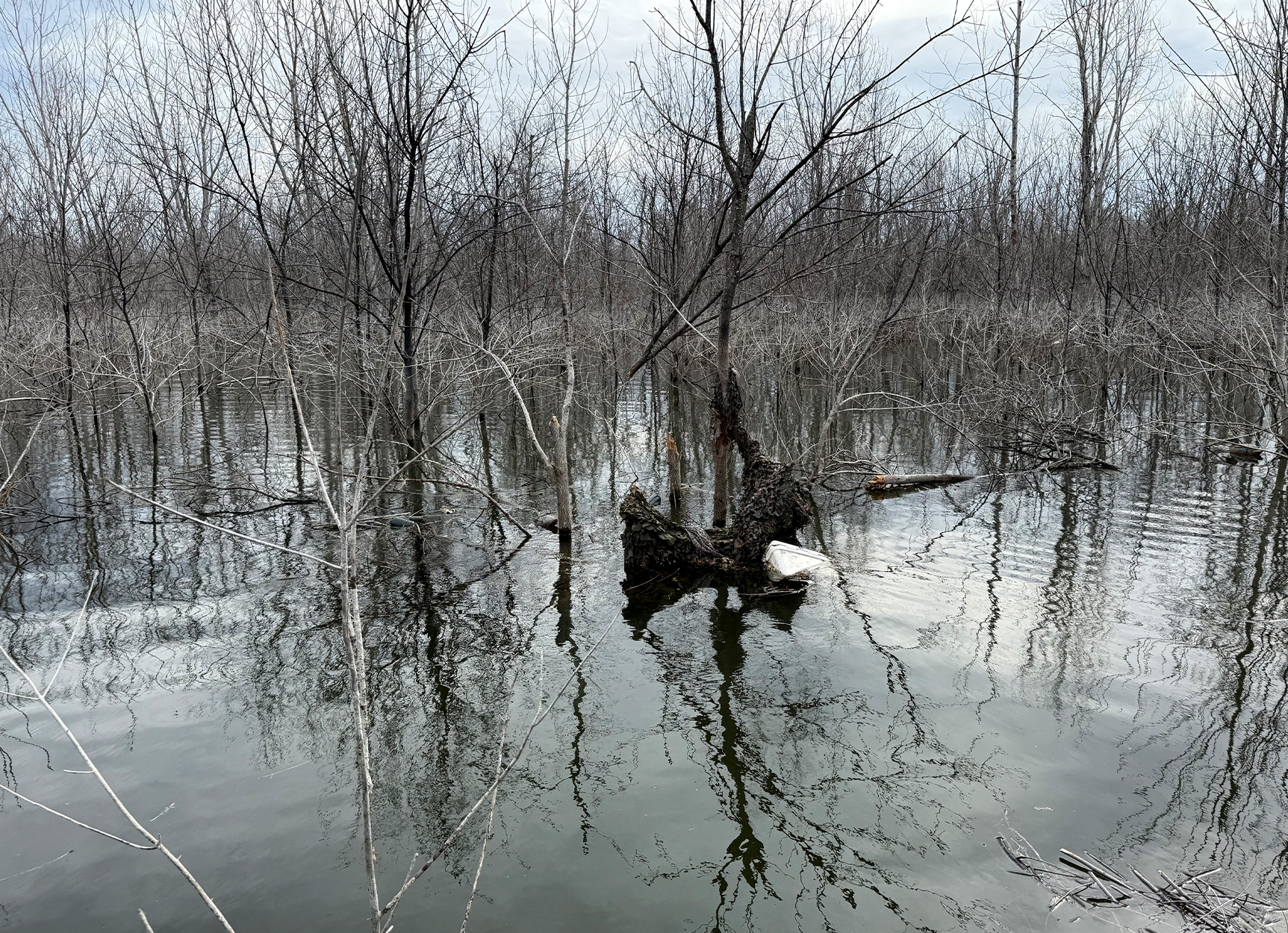 An area of Bois D'Arc Lake with flooded timber.