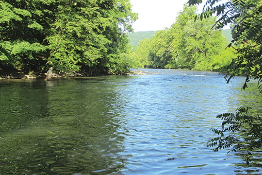 Survey shows great numbers, size of wild brown trout on Pennsylvania’s Little Juniata River – Outdoor News