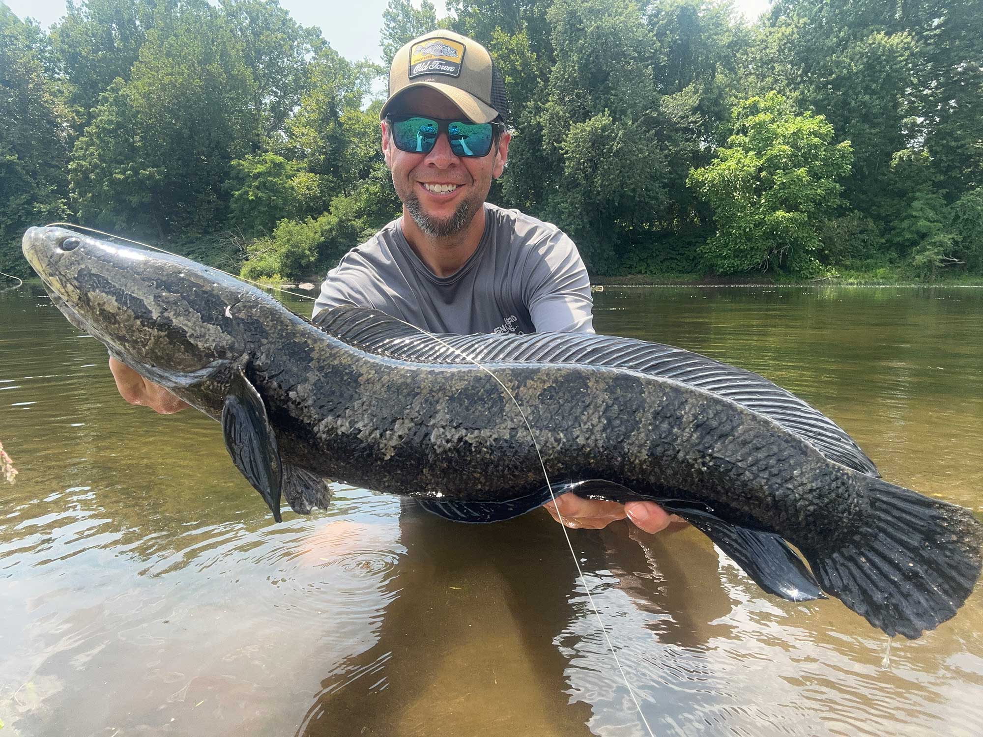 snakehead