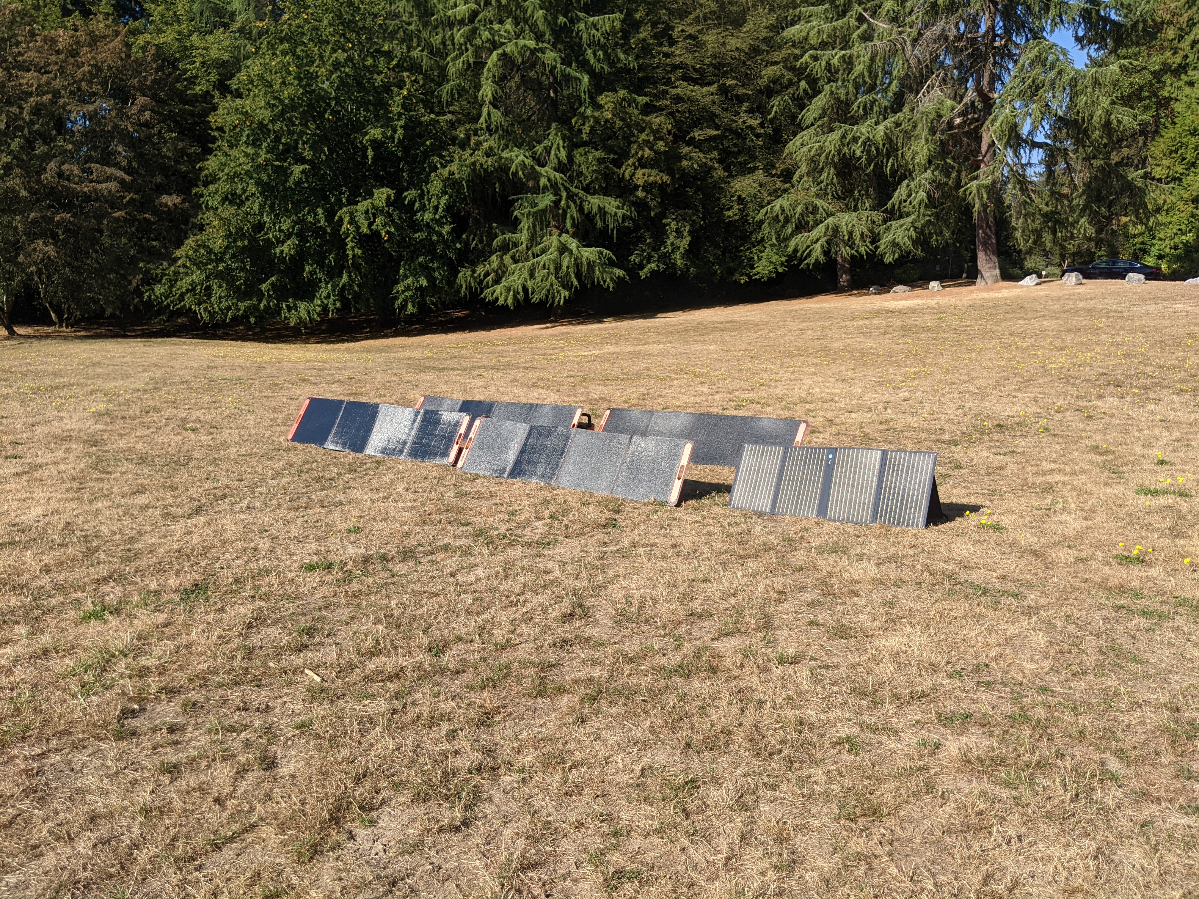 five large solar panels in a beige field in full sun