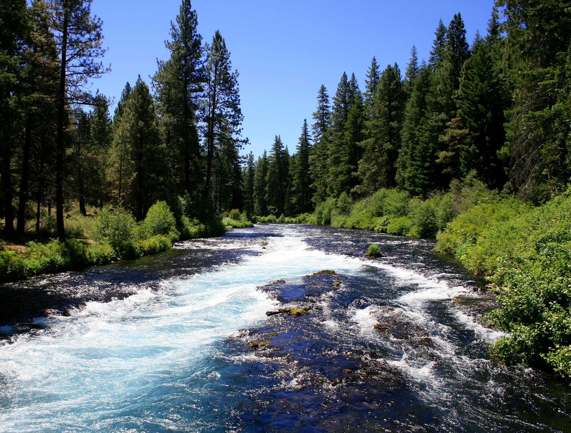 metolius river