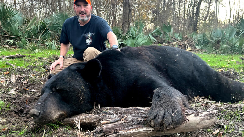 Veteran Tags Potential Record Black Bear During Louisiana’s First Bear Season in Decades