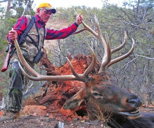 Want to hunt Western big game? Know these tips for navigating tag systems – Outdoor News