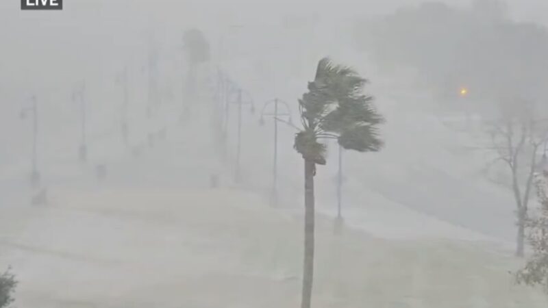 WATCH: It’s a Historic Snow Day in New Orleans