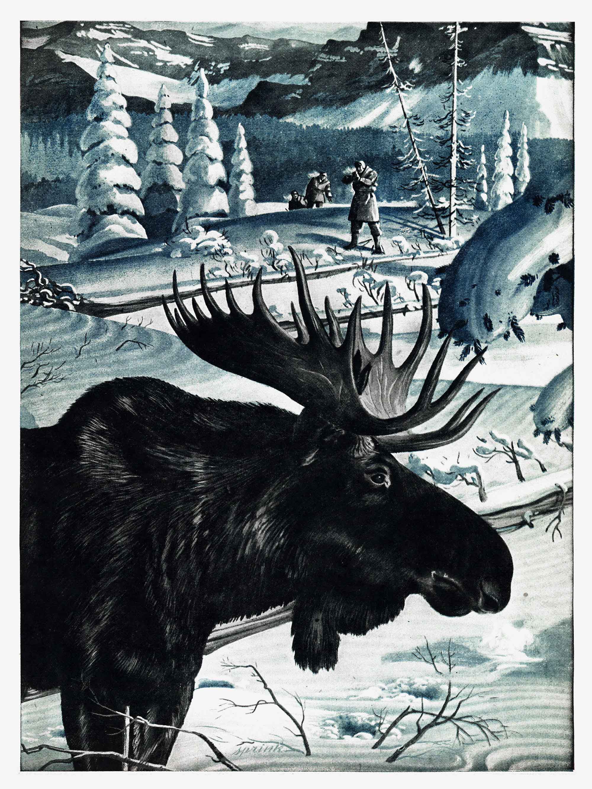 A vertical illustration of a bull moose in the snow with hunters behind him.