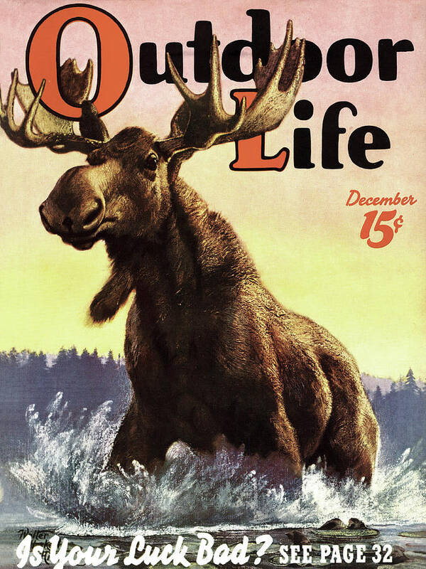 An old outdoor life cover of a moose.