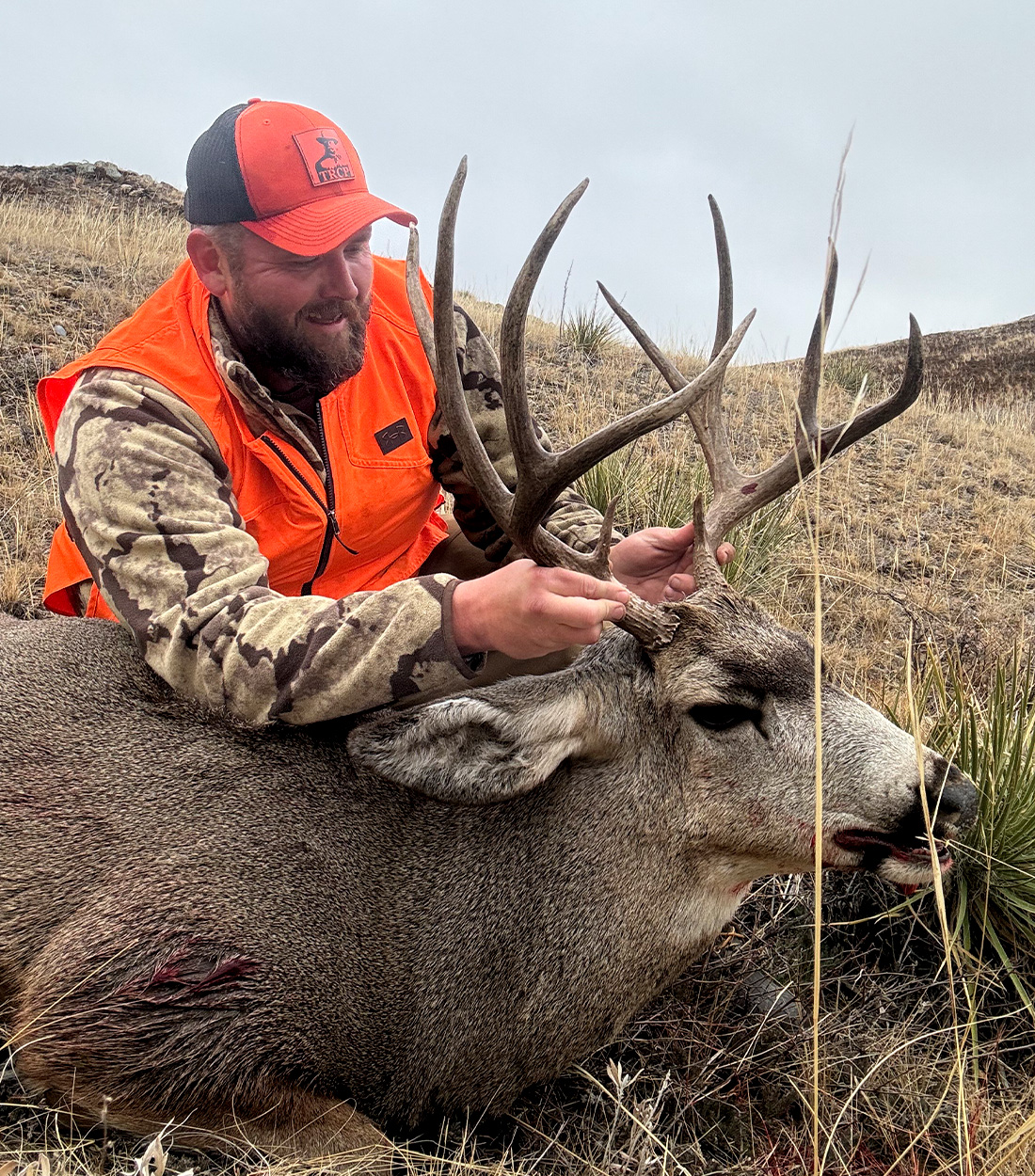 A hunter holds up a mule deer buck.