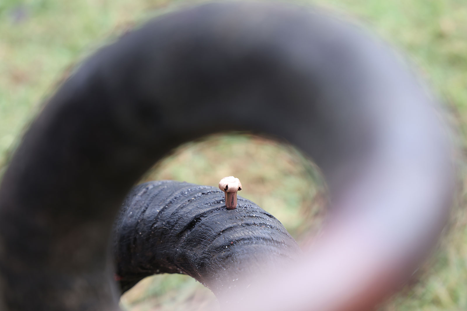 kudu horns