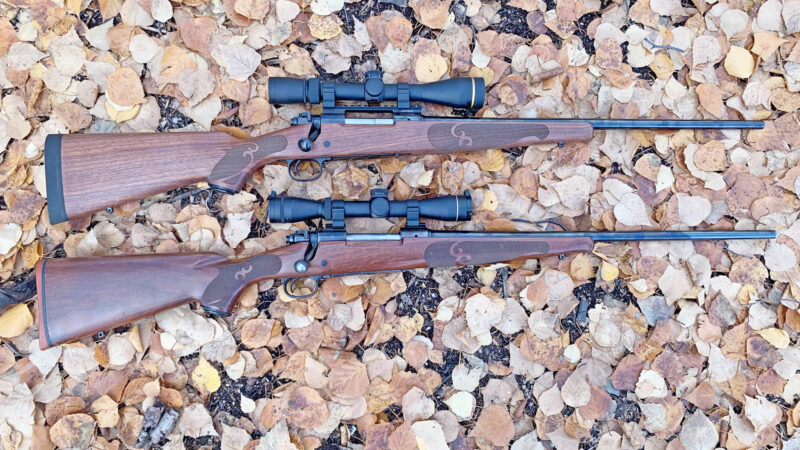 .270 vs .308: Is a Bigger Caliber Actually Better?