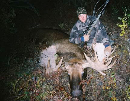 Freel with .30/06 moose