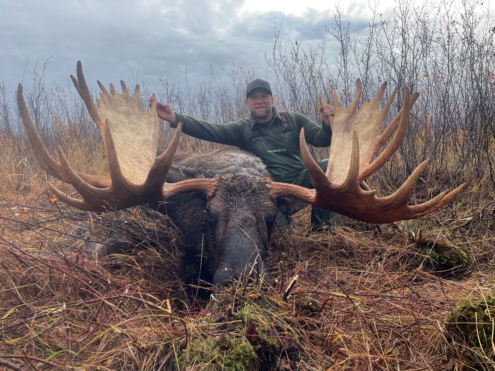 bull moose taken with .308