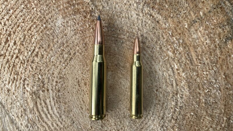 .308 vs 5.56: A Full Breakdown of These Two Popular Cartridges