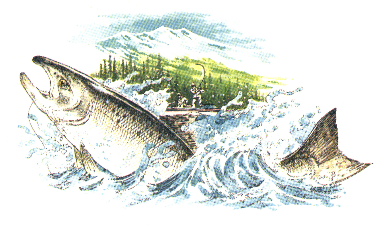 An illustration of a salmon leaping out of the water