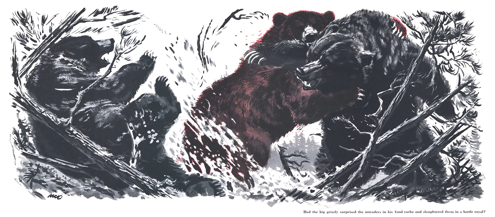 Three bears fight in an illstration