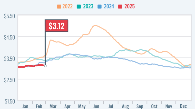 AAA: Motorists Seeing a Slight Break at the Fuel Pump – RVBusiness – Breaking RV Industry News