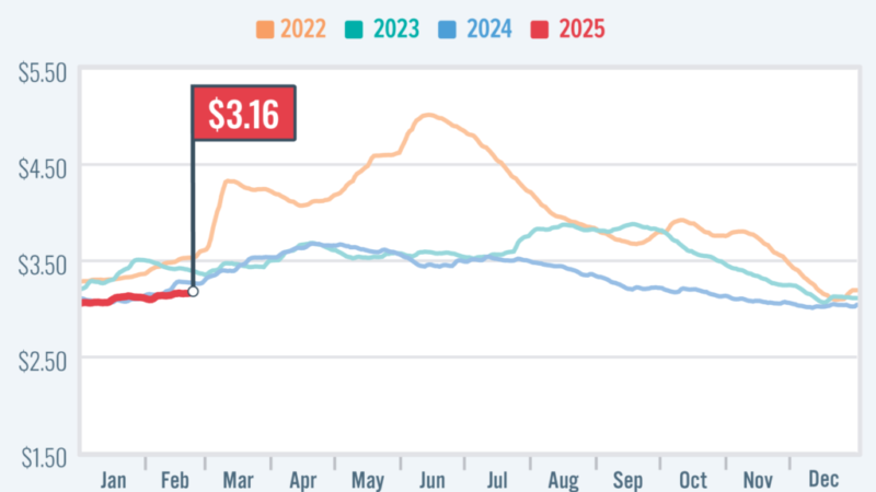 AAA: Steady at the Pump; Gas Prices Hit Cruise Control – RVBusiness – Breaking RV Industry News