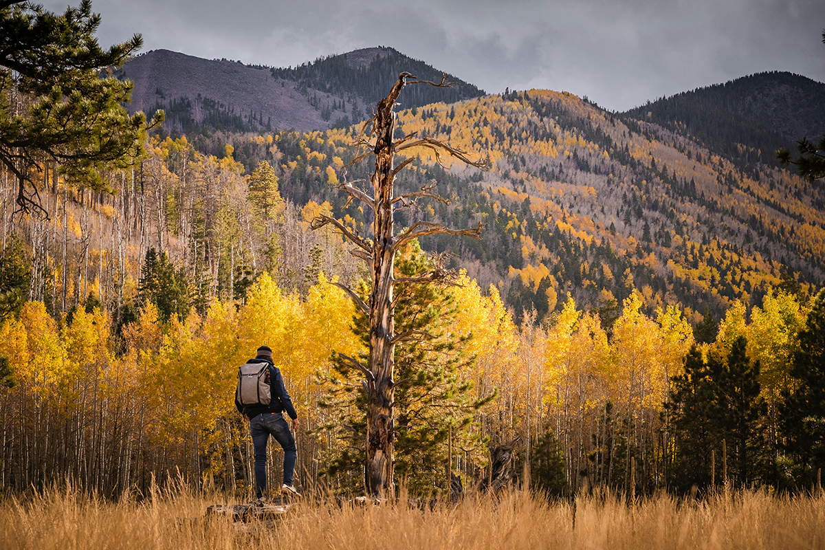 A lone figure hikes in a meadow fringed by autumn-hued trees.