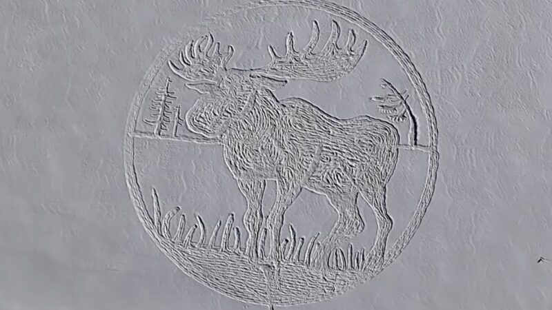 Artist Draws Giant Moose in Snow With His Feet (Video)