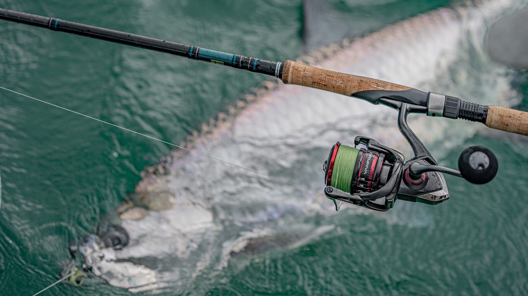 Spinning reel tarpon