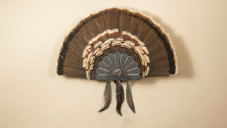 Best Turkey Fan Mount Kits of 2025