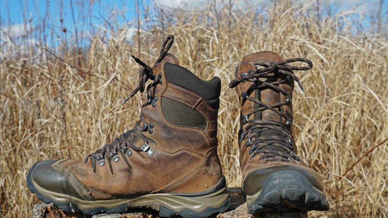 Best Upland Hunting Boots of 2025, Field Tested and Reviewed