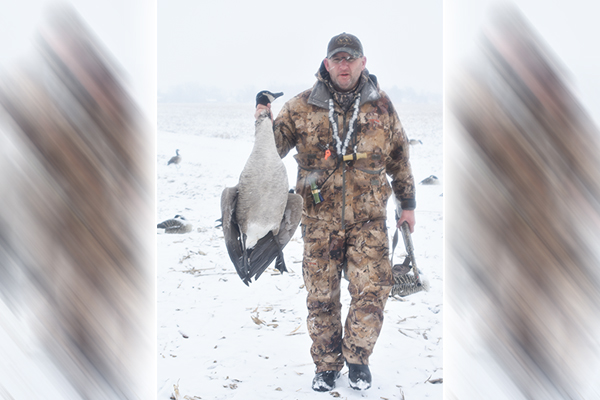 Bob Gwizdz: Canada geese are a conservation success story in Michigan – Outdoor News