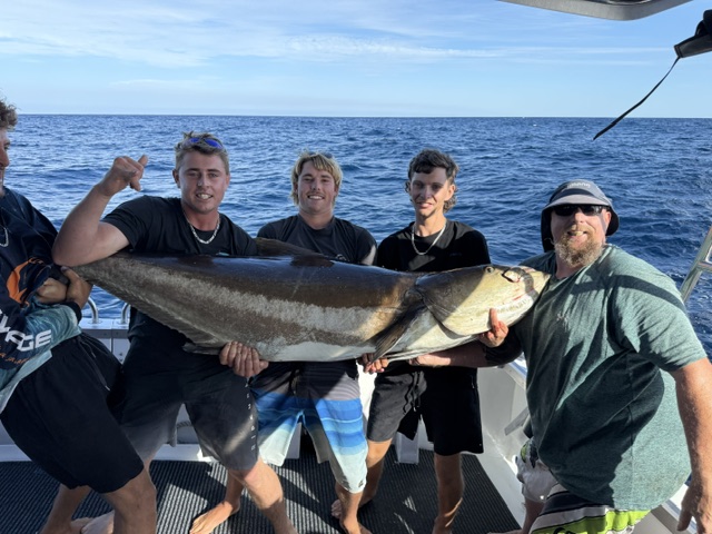 Australian fishermen with the possible new world-record cobia.